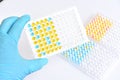 Enzyme-linked immunosorbent assay or ELISA plate