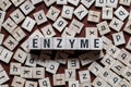 Enzyme word concept