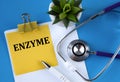 ENZYME - word on a yellow notebook on a blue background with a stethoscope and a cactus