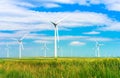 Wind turbines in the field