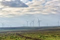 Eolian field and wind turbines farm on a cloudy day