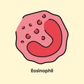 Eosinophil color icon. White blood cells in the blood vessels.