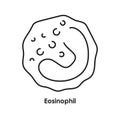 Eosinophil color icon. White blood cells in the blood vessels.