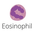 Eosinophil a white blood cell with pink granules Royalty Free Stock Photo