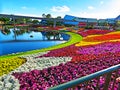 Epcot International Flower & Garden Festival