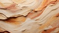Ephemeral Echoes: Abstract Sandstone Impression. AI generate