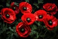 Ephemeral Red poppy flowers. Generate Ai