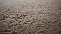 Ephemeral Sand Patterns: Conceptual Installation Art In Monochromatic Depth