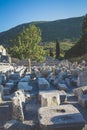 Ephesus Ruins