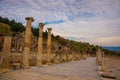 EPHESUS, TURKEY: Curetes Street with colonnade and Odeon near Agoda.