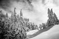 Epic black and white dramatic winter landscape covered in snow