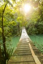 Epic Bridge Over Jungle River