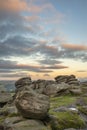 Epic colorful landscape view of late Summer heather in Peak District around Higger Tor at sunrise Royalty Free Stock Photo