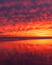 Epic colorful sunset sky reflecting in the ocean on a peaceful beautiful beach. Fire Island New York