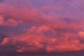 Epic Dramatic sunrise, sunset orange pink red clouds in sunlight on storm sky background texture Royalty Free Stock Photo