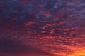 Epic dramatic sunrise, sunset orange red pink clouds in sunlight on blue sky background texture Royalty Free Stock Photo