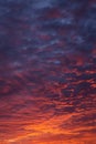 Epic dramatic sunrise, sunset orange red pink clouds in sunlight on blue sky background texture Royalty Free Stock Photo