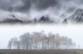 Epic landscape image in Autumn with foggy trees in front of draamtic mountain ridgeline in background