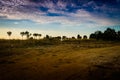 Epic Pastoral Landscape Evening Royalty Free Stock Photo