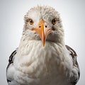 Epic Portraiture Of A White Seagull In Stunning Generative Art