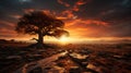 Solitary Sentinel: Majestic Autumnal Sunset with an Ancient Tree