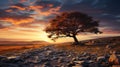 Solitary Sentinel: Majestic Autumnal Sunset with an Ancient Tree