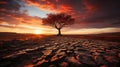 Solitary Sentinel: Majestic Autumnal Sunset with an Ancient Tree