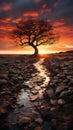 Solitary Sentinel: Majestic Autumnal Sunset with an Ancient Tree