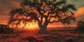 Epic Sunset Landscape with Old Oak Tree Background. Royalty Free Stock Photo