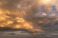 Epic sunset storm sky. Big white grey cumulus thunderstorm clouds in yellow orange sunlight on blue sky background texture Royalty Free Stock Photo