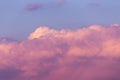 Epic sunset sunrise sky with pink big fluffy cumulus cloud in sunlight on blue sky background texture Royalty Free Stock Photo