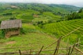 Epic view of Vietnamese countryside
