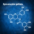 Epicatechin gallate, Structural chemical formula Royalty Free Stock Photo