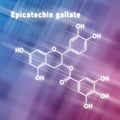 Epicatechin gallate, Structural chemical formula Royalty Free Stock Photo