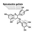 Epicatechin gallate, Structural chemical formula Royalty Free Stock Photo