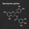 Epicatechin gallate, Structural chemical formula Royalty Free Stock Photo