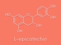 Epicatechin L-epicatechin chocolate flavonoid molecule. Skeletal formula. Royalty Free Stock Photo