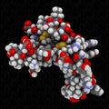 Epidermal growth factor EGF signaling protein molecule. Atoms are represented as spheres with conventional color coding.