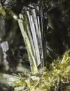 Epidote 1 Royalty Free Stock Photo