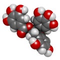 Epigallocatechin gallate EGCG green tea polyphenol molecule. Has antioxidant properties and may contribute to health effects of. Royalty Free Stock Photo