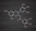 Epigallocatechin gallate (EGCG) green tea polyphenol molecule. Has antioxidant properties and may contribute to health effects of Royalty Free Stock Photo