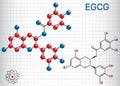 Epigallocatechin gallate EGCG, is the most abundant catechin i Royalty Free Stock Photo