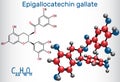 Epigallocatechin gallate EGCG, is the most abundant catechin i Royalty Free Stock Photo