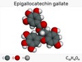 Epigallocatechin gallate EGCG, is the most abundant catechin in tea. Molecular model