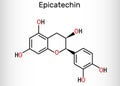 Epigallocatechin gallate EGCG, is the most abundant catechin in tea. Molecular model