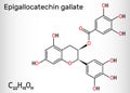 Epigallocatechin gallate EGCG, is the most abundant catechin in tea. Structural chemical formula Royalty Free Stock Photo