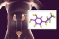 Epinephrine hormone produced by adrenal gland