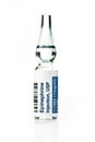 Epinephrine Injection Ampule