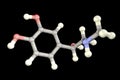 Epinephrine molecule, a hormone produced by adrenal gland Royalty Free Stock Photo