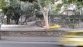 Epitacio Pessoa avenue and old houses around Rodrigo de Freitas Lagoon Rio de Janeiro Brazil